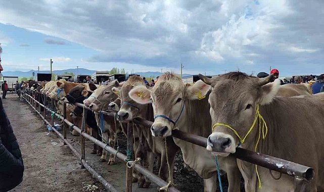 Uzmanı uyardı, o hastalık ağızda oluşan lezyonlarla kendini gösteriyor