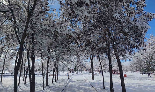 Van'da kar yağışı kartpostallık görüntüler oluşturdu