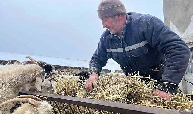 Yağan kar ve ayazla birlikte besicilerin işleri güçleşti
