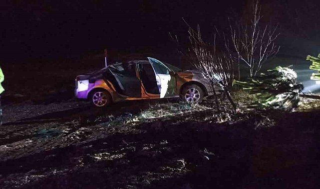 Yağmurda kayganlaşan yol kazaya neden oldu: 3 yaralı