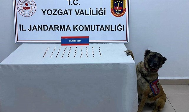 Yozgat'ta 61 adet uyuşturucu hap ele geçirildi