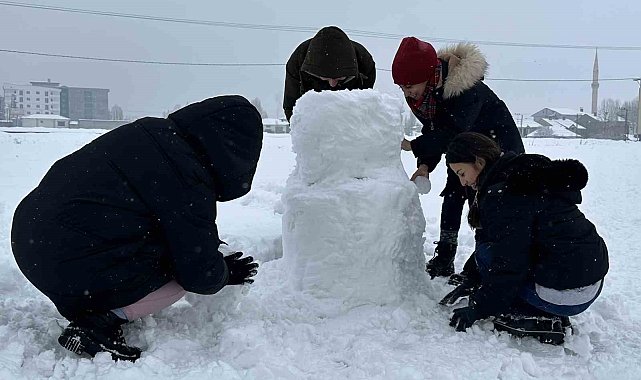 Yüksekova'da kar yağışı