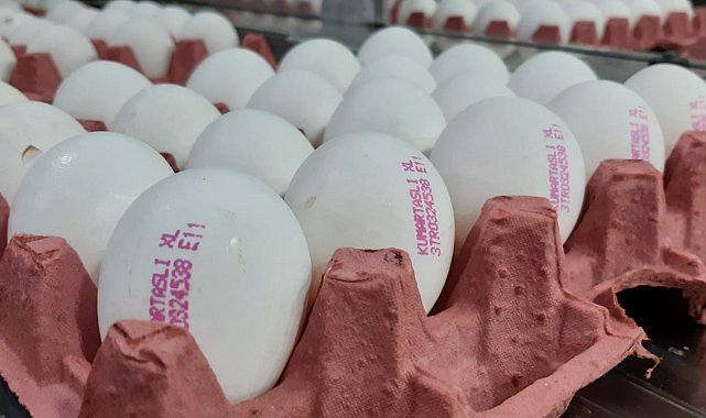 Yumurta fiyatlarının yükselmesinde üreticiler aracıları sorumlu tuttu