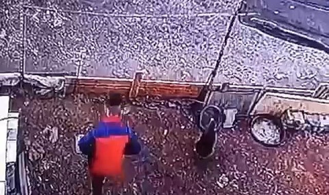 Yumurta hırsızının rahatlığı 'pes' dedirtti