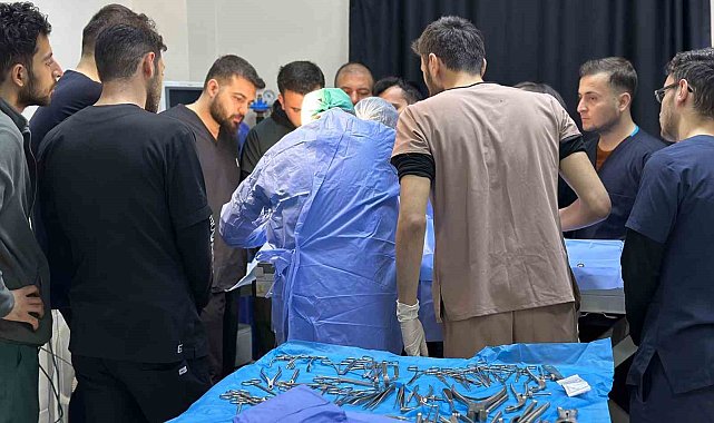 8 santimlik taş insandan değil, 10 yaşındaki 'Fındık' isimli köpekten çıktı