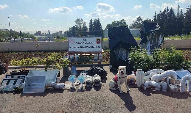 Adana'da 'iklimlendirme sistemli' uyuşturucu üretimine 5 gözaltı