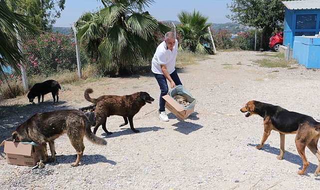 Adanalı kebapçı sokak hayvanlarını unutmuyor