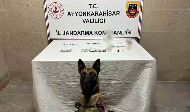 Afyonkarahisar'da suç makinası yakalandı