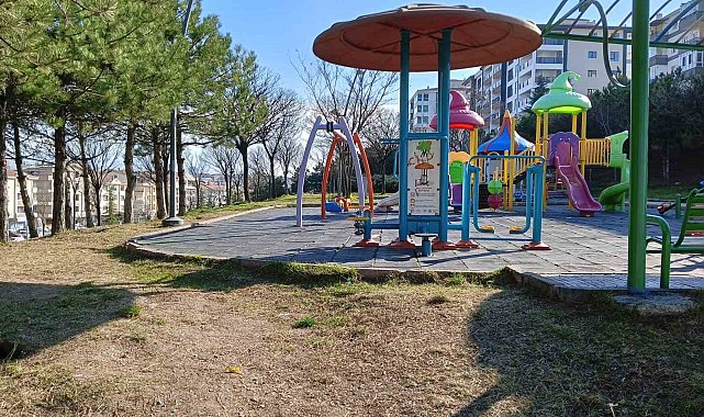 Ağacı oyarken kendisini bıçakla yaraladığı iddia edilen çocuk hayatını kaybetti