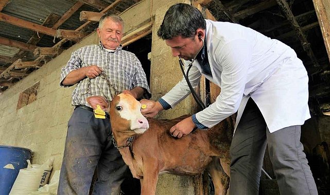 AK Partili Pekdemir, Pamukkale'de kırsal kalkınma hamlesi başlatacak