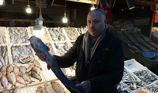 Akdeniz'de balık bereketi