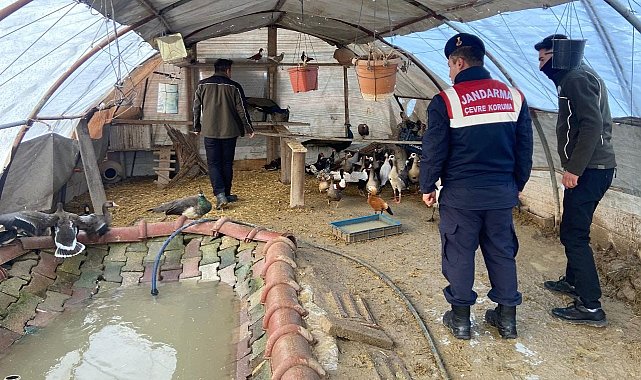 Aksaray'da yaban hayvanı ticaretine 78 bin 650 TL ceza