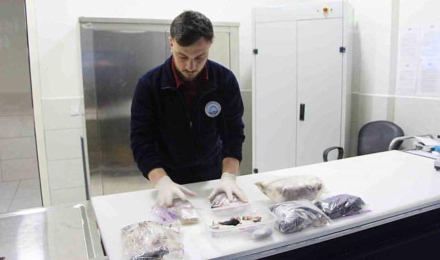 Akvaryumdaki yılanların canlı yem ile beslendiği iddiası asılsız çıktı