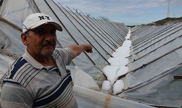 Alanya'da dolu yağışında seraları zarar gören üreticiye naylon desteği verilecek