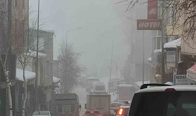 Ardahan'da soğuk hava ve sis etkili oldu