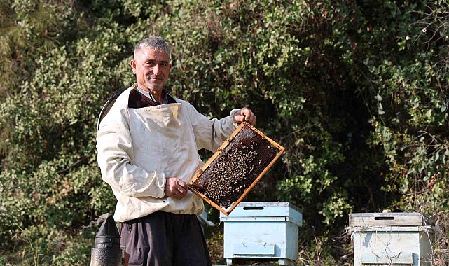 Arılar kış uykusuna yatamadı