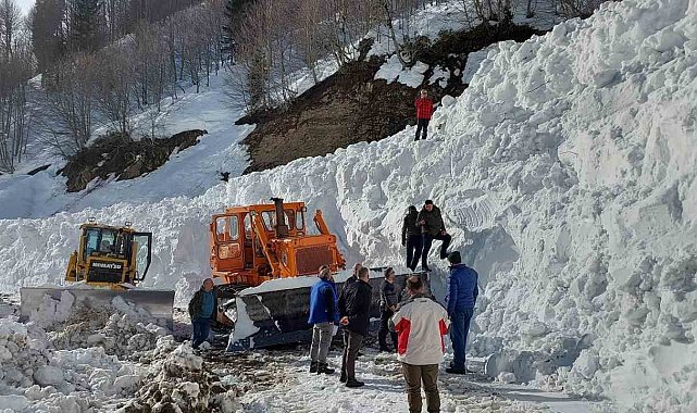 Artvin'de çığ altında kalan iş makinesi 10 gün sonra çıkartıldı