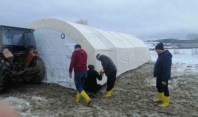 Aslanapa'da hayvan ağılı göçen yetiştiriciye İl Tarım Müdürlüğünden yardım eli