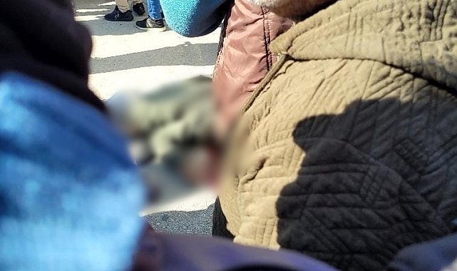 Aydın'da kamyonun çarptığı şahıs hayatını kaybetti