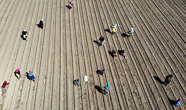 Aydınlı çiftçilerin destek ödemeleri yapıldı