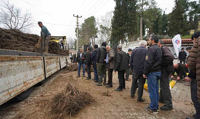 Balıkesir Büyükşehir'den üreticilere meyve fidanı desteği