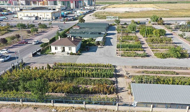 Başkan Çolakbayrakdar: "Kişi başına düşen 18 metrekare yeşil alan ile rekoru yenileyeceğiz"