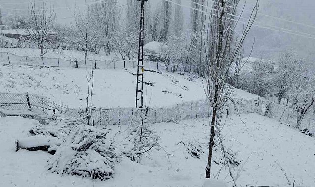 Batman'da 80'den fazla yerleşim yerinin yolu kar nedeniyle ulaşıma kapandı
