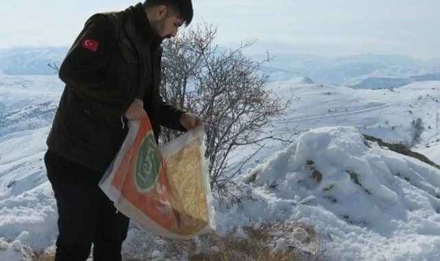 Bayburt'ta yaban hayvanları için doğaya yem bırakıldı
