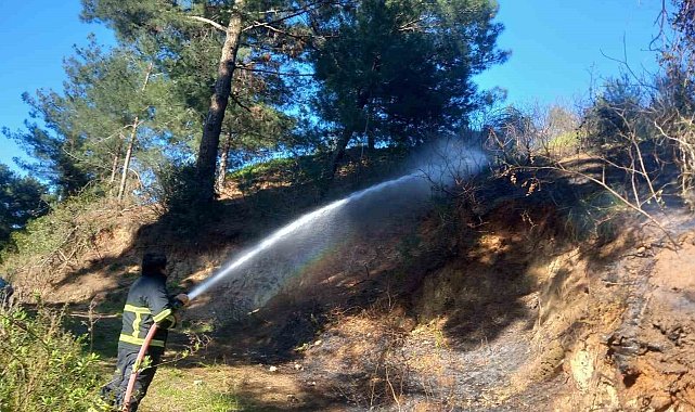 Belen'de ormanlık alanda çıkan yangın söndürüldü