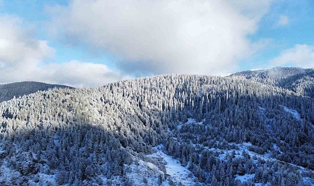 Beyaza bürünen Ilgaz Dağı'nın eteklerindeki yaylalarda kartpostallık görüntüler ortaya çıktı