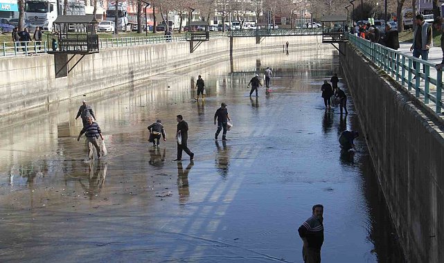 Beyşehir Gölü'nden kanala dökülen balıkları toplamak için birbirleriyle yarıştılar