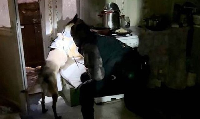 Bitlis'te uyuşturucu operasyonu: 9 tutuklama
