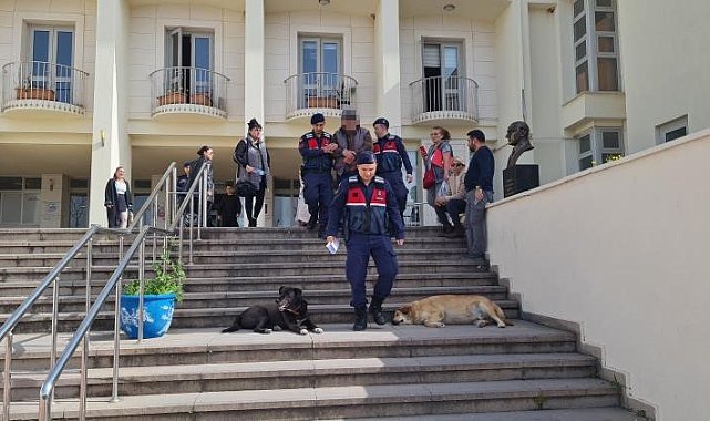 Bodrum'da 12 hayvanı zehirlediği iddia edilen şahıs yakalandı