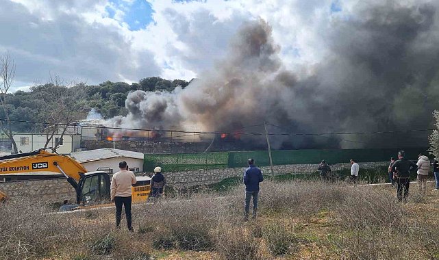 Bodrum'da izolasyon firmasında yangın