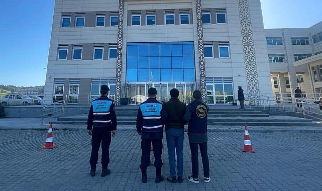 Çanakkale'de 1 koç ve 3 koyun çalan 2 şüpheli jandarma tarafından yakalandı