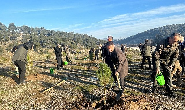 Çanakkale'de 6 Şubat 2023 Deprem Şehitleri Ormanı Kuruldu