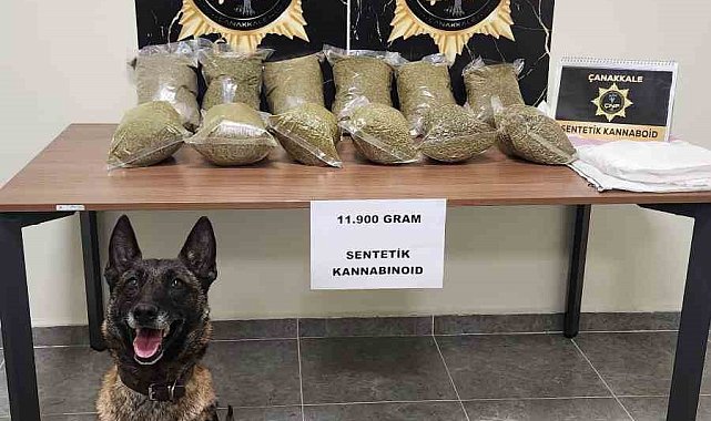Çanakkale'de piyasa değeri 6 milyon TL olan 11 kilo 900 gram sentetik kannabinoid ele geçirildi