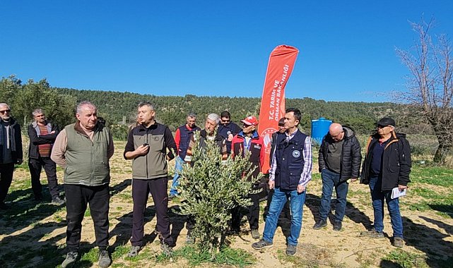 Çanakkale'de Zeytin Yetiştiricilerine eğitim verildi