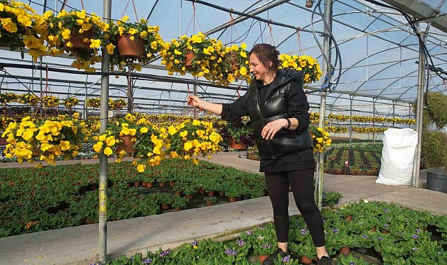 Çiçek kenti Yalova'da Sevgililer Günü öncesi hareketlilik