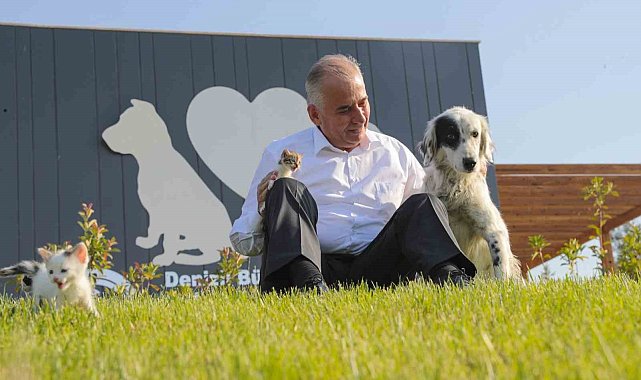 Denizli'de sokak hayvanları için mesajla bilgilendirme dönemi başladı