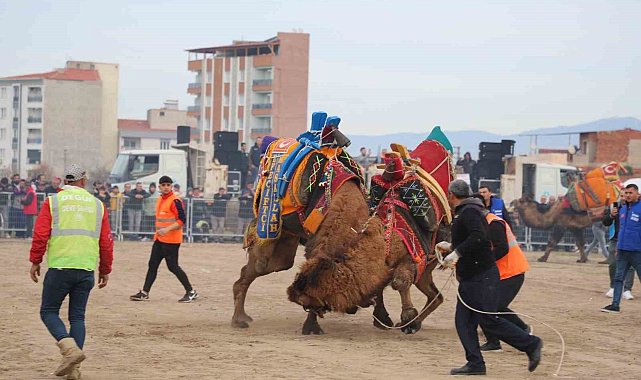 Develer şampiyonluk için Turgutlu'da güreşecek