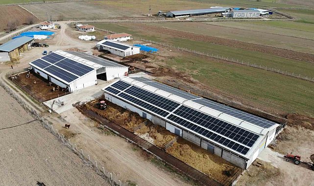 Devlet desteğiyle kurduğu büyükbaş hayvan çiftliğinin elektrik giderlerini GES ile karşılıyor