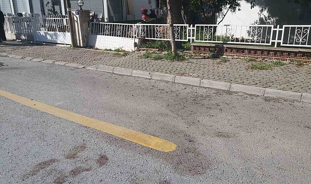 Didim'de cinayet: 1 ölü