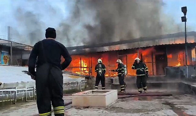 Diyarbakır'da 2 milyon TL değerindeki 600 güvercin alevler içinde telef oldu