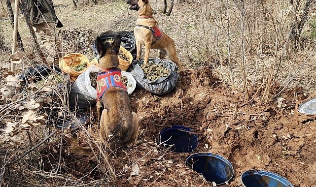 Diyarbakır'da jelikan bidon içerisine saklanmış 43 kilo esrar ele geçirildi