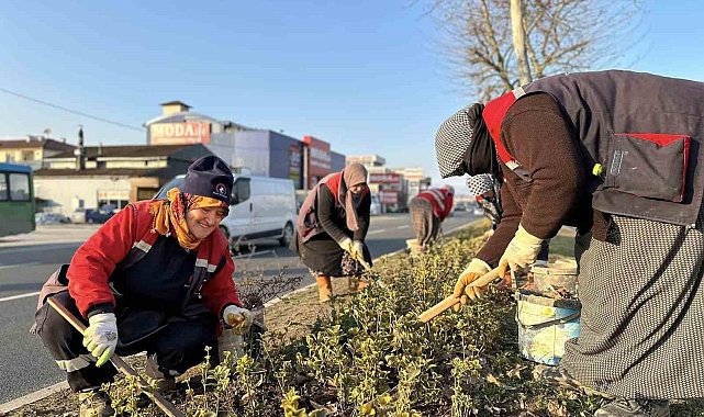 Düzce'yi kadınlar güzelleştiriyor