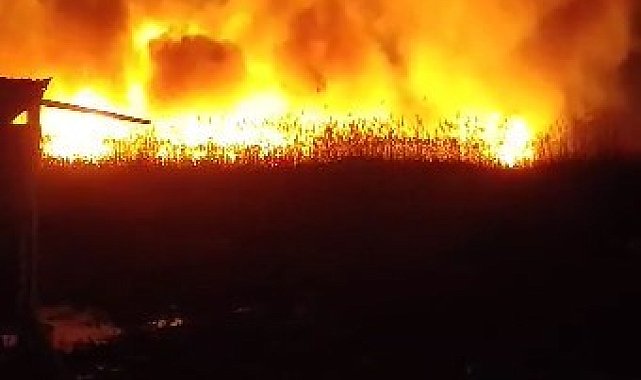 Eber Gölü'nde sazlık alanda yangın çıktı, alevler metrelerce yükseldi