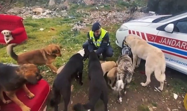 Ekiplerin yaptığı çalışma yürekleri ısıttı