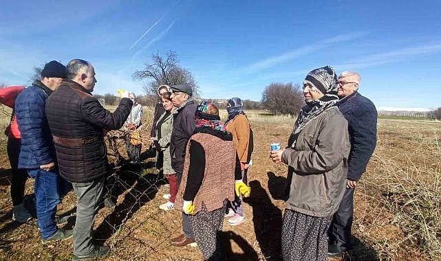 Elazığ'da budama eğitimleri sürüyor