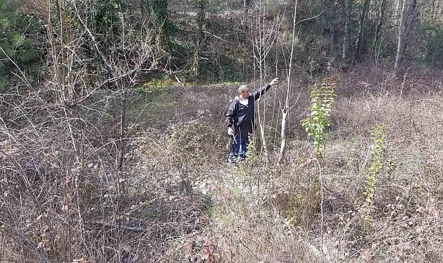 Emekli imam gelecek nesil için doğadaki meyve ağaçlarını aşılıyor